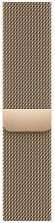  Apple Watch Series 8 45 мм Gold Stainless Steel Case, Gold Milanese Loop