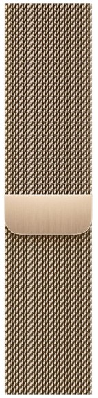  Apple Watch Series 8 41 мм Gold Stainless Steel Case, Gold Milanese Loop